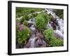 A Mountain Stream Within the Indian Peaks Wilderness Area Near Rocky Mountain National Park, Co-Ryan Wright-Framed Photographic Print