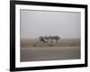 A Mq-1C Warrior Taxis Out to the Runway to for a Mission over Northern Iraq-null-Framed Photographic Print