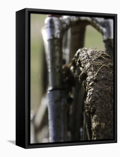 A Muddy Mountain Bike Tire, Mt. Bike-David D'angelo-Framed Stretched Canvas