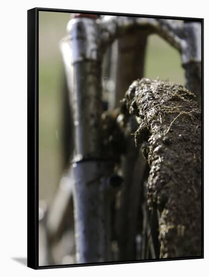 A Muddy Mountain Bike Tire, Mt. Bike-David D'angelo-Framed Stretched Canvas