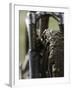 A Muddy Mountain Bike Tire, Mt. Bike-David D'angelo-Framed Premium Photographic Print