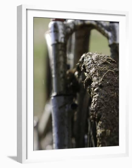 A Muddy Mountain Bike Tire, Mt. Bike-David D'angelo-Framed Premium Photographic Print