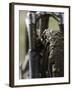 A Muddy Mountain Bike Tire, Mt. Bike-David D'angelo-Framed Premium Photographic Print