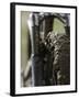 A Muddy Mountain Bike Tire, Mt. Bike-David D'angelo-Framed Premium Photographic Print