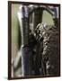 A Muddy Mountain Bike Tire, Mt. Bike-David D'angelo-Framed Premium Photographic Print