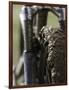 A Muddy Mountain Bike Tire, Mt. Bike-David D'angelo-Framed Premium Photographic Print