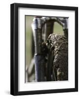 A Muddy Mountain Bike Tire, Mt. Bike-David D'angelo-Framed Premium Photographic Print