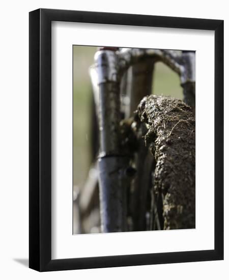 A Muddy Mountain Bike Tire, Mt. Bike-David D'angelo-Framed Premium Photographic Print