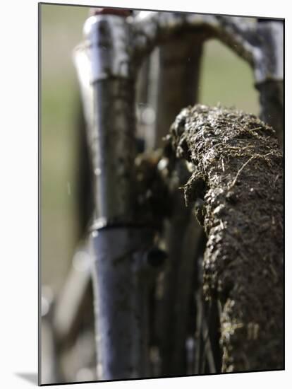 A Muddy Mountain Bike Tire, Mt. Bike-David D'angelo-Mounted Photographic Print