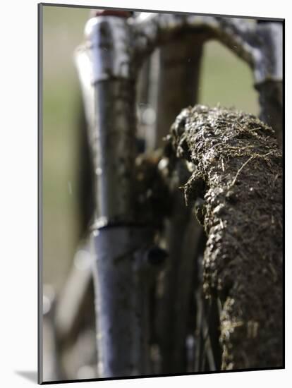 A Muddy Mountain Bike Tire, Mt. Bike-David D'angelo-Mounted Photographic Print