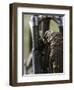 A Muddy Mountain Bike Tire, Mt. Bike-David D'angelo-Framed Photographic Print