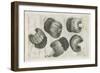 A Muff in Five Views, 1645-1646-Wenceslaus Hollar-Framed Giclee Print