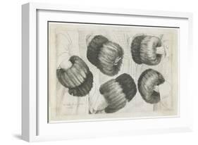 A Muff in Five Views, 1645-1646-Wenceslaus Hollar-Framed Giclee Print