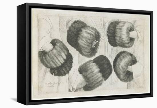 A Muff in Five Views, 1645-1646-Wenceslaus Hollar-Framed Stretched Canvas