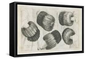 A Muff in Five Views, 1645-1646-Wenceslaus Hollar-Framed Stretched Canvas