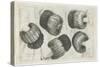 A Muff in Five Views, 1645-1646-Wenceslaus Hollar-Stretched Canvas