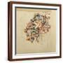 Brown Frame