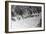 A Mule Caravan-null-Framed Photographic Print