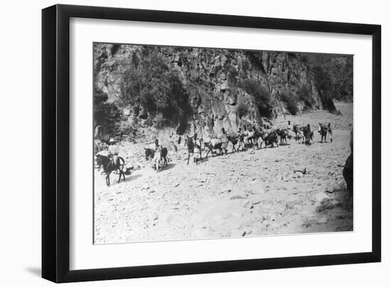 A Mule Caravan-null-Framed Photographic Print