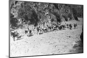 A Mule Caravan-null-Mounted Photographic Print