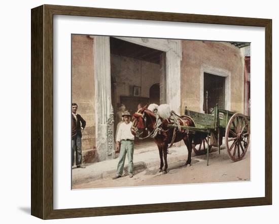 A Mule Cart in Havana Led by a Vendor-William Henry Jackson-Framed Photo
