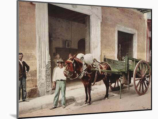 A Mule Cart in Havana Led by a Vendor-William Henry Jackson-Mounted Photo