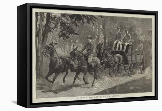 A Mule Four-In-Hand in Burma-null-Framed Stretched Canvas