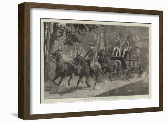 A Mule Four-In-Hand in Burma-null-Framed Giclee Print