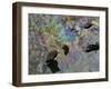 A Multi-Colored Oil Slick Remains in a Stream in Totowa, N.J.-null-Framed Photographic Print