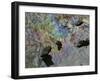 A Multi-Colored Oil Slick Remains in a Stream in Totowa, N.J.-null-Framed Photographic Print