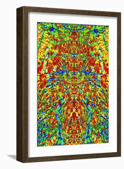 A Multicolored Kaleidoscopic Tapestry-Ray2012-Framed Art Print