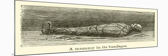 A Mummy in its Bandages-null-Mounted Giclee Print