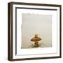 A Mushroom with Grass Growing Around It-Wendy Edelson-Framed Giclee Print