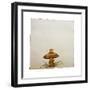 A Mushroom with Grass Growing Around It-Wendy Edelson-Framed Giclee Print