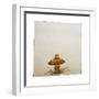 A Mushroom with Grass Growing Around It-Wendy Edelson-Framed Giclee Print