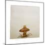 A Mushroom with Grass Growing Around It-Wendy Edelson-Mounted Giclee Print