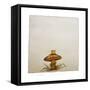 A Mushroom with Grass Growing Around It-Wendy Edelson-Framed Stretched Canvas