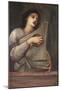 A Musician-Edward Burne-Jones-Mounted Giclee Print