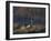 A Mute Swan, Cygnus Olor, Standing at Water's Edge in Winter-Alex Saberi-Framed Photographic Print