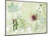 A Myriad Celebration of Plants-Trudy Rice-Mounted Art Print