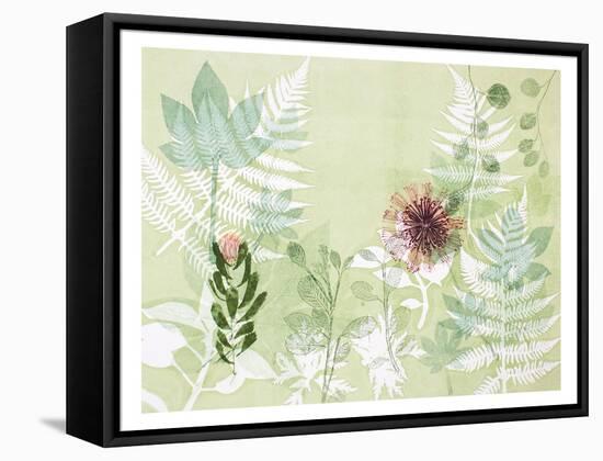 A Myriad Celebration of Plants-Trudy Rice-Framed Stretched Canvas