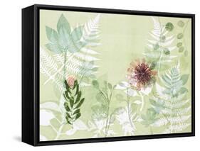 A Myriad Celebration of Plants-Trudy Rice-Framed Stretched Canvas