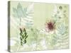 A Myriad Celebration of Plants-Trudy Rice-Stretched Canvas