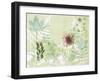 A Myriad Celebration of Plants-Trudy Rice-Framed Art Print