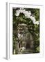 A Mythical Lion Statue and Cherry Blossom in a Temple in Kyoto, Honshu Island, Japan, Asia-Christian Kober-Framed Photographic Print