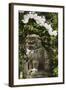 A Mythical Lion Statue and Cherry Blossom in a Temple in Kyoto, Honshu Island, Japan, Asia-Christian Kober-Framed Photographic Print