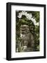 A Mythical Lion Statue and Cherry Blossom in a Temple in Kyoto, Honshu Island, Japan, Asia-Christian Kober-Framed Photographic Print