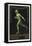 A Naked Athlete Running. Germany 1916 Berlin Olympic Games Poster Stamp, Unused-null-Framed Stretched Canvas