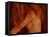 A Naked Female with Bare Breasts-Katrin Adam-Framed Stretched Canvas