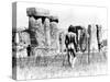 A Naked Hippy Watches Stonehenge from Behind Barb Wire on Summer Solstice-null-Stretched Canvas